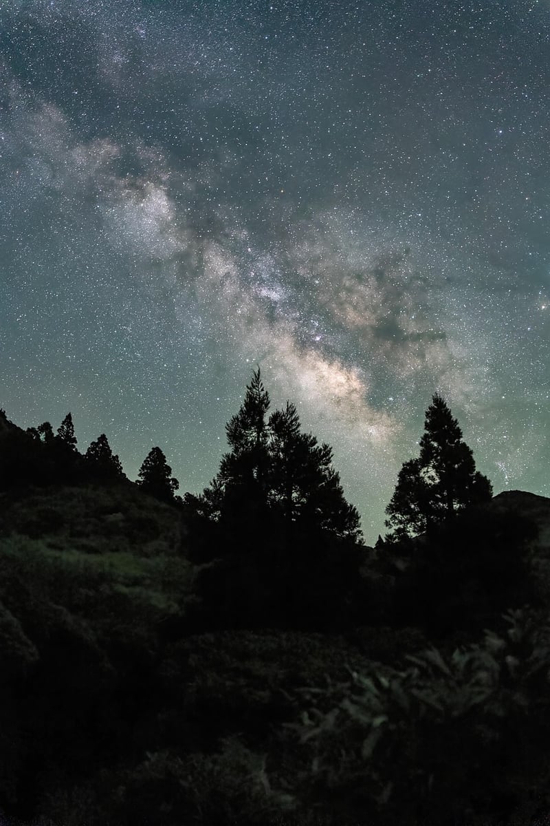 Milky Way over Whispering Pines