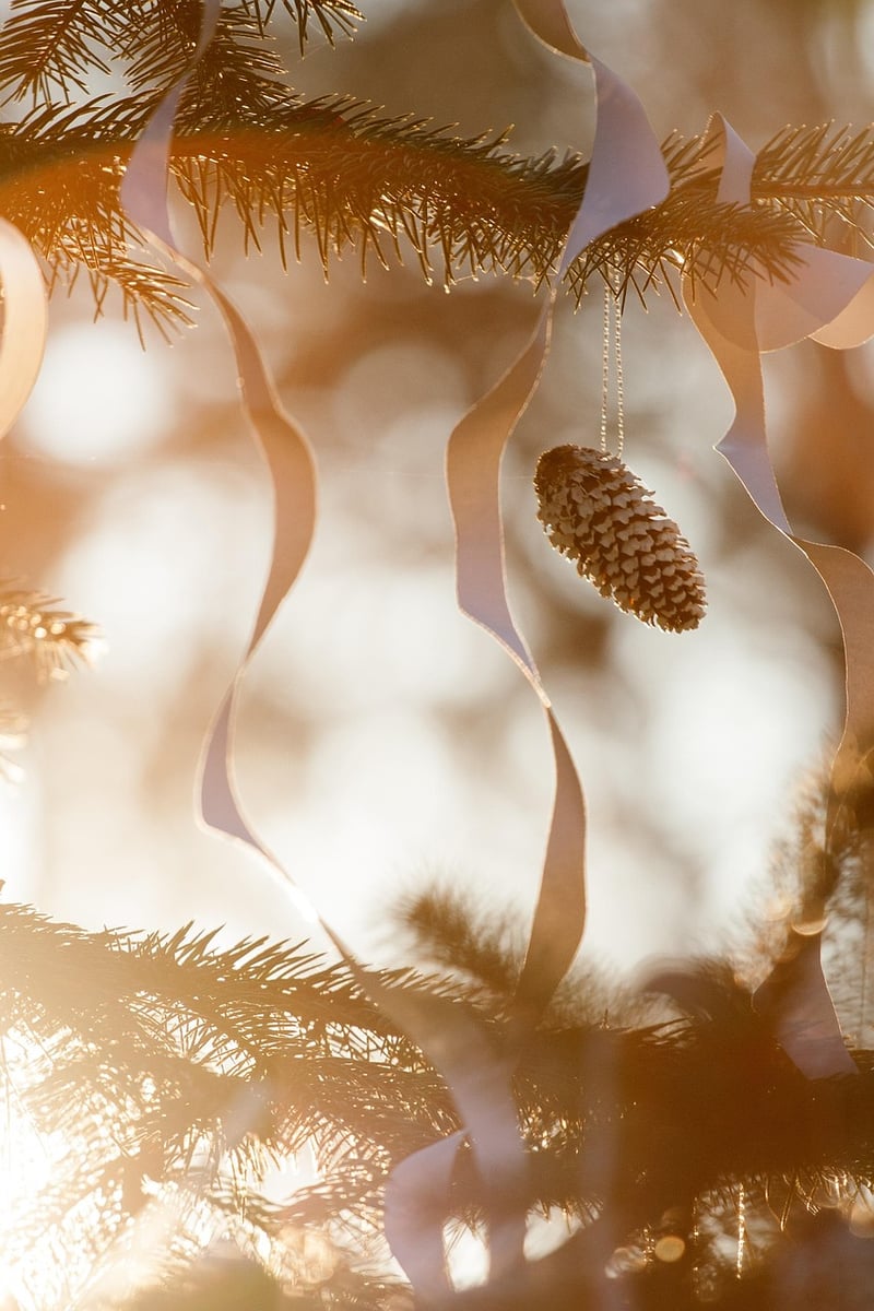 Pinecones